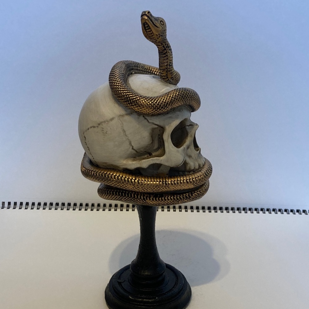 Ashland Skull with Bronze Snake Pedestal Halloween Spooky Decor - Picture 3 of 11